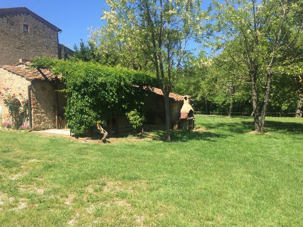 Agriturismo Le Colline Montescudaio Extérieur photo