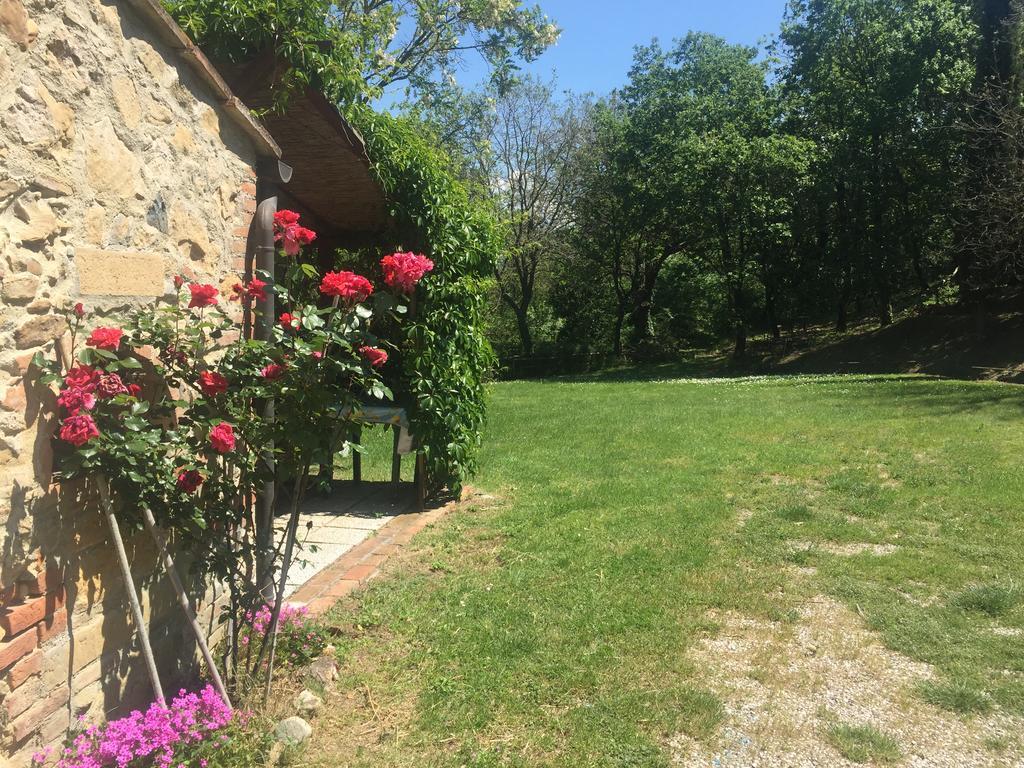 Agriturismo Le Colline Montescudaio Extérieur photo